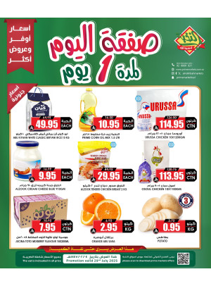 عرض اليوم الواحد