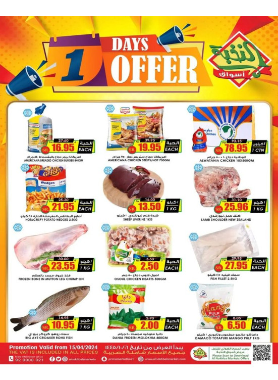 1 Day Offer