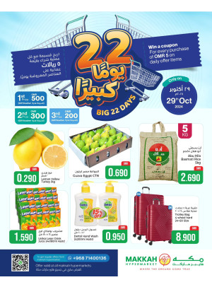 Big 22 Days Offer