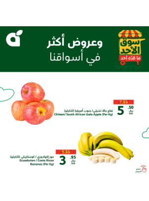 عروض سوق الأحد، العدد الثاني