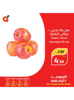 عروض لمدة 4 أيام، العدد الرابع
