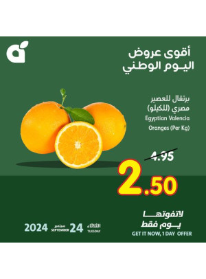 أقوى عروض اليوم الوطني لمدة يوم واحد