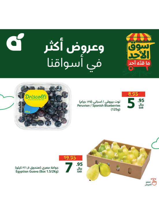 عروض سوق الأحد، العدد الثاني