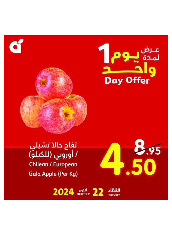 One Day Offer