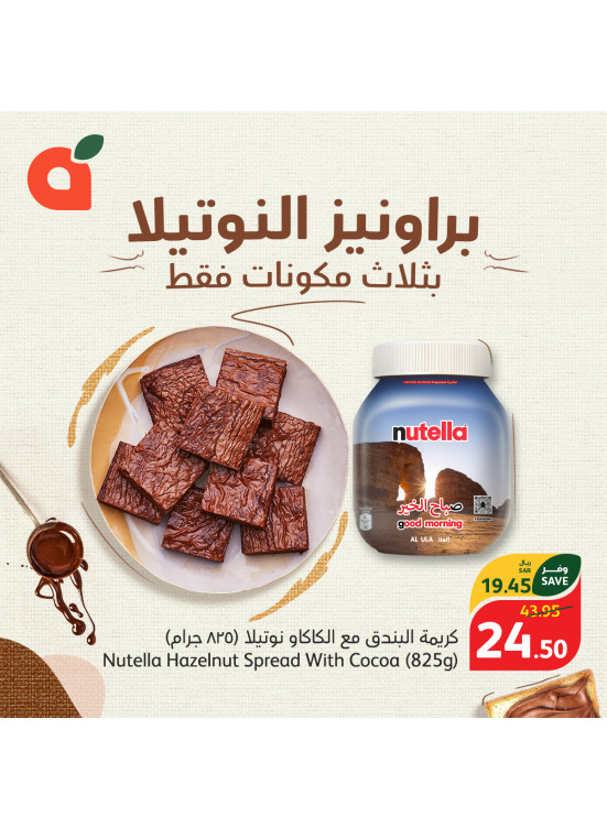 Delicious Nutella Brownies