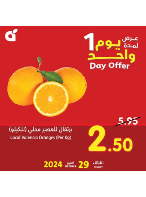 One Day Offer