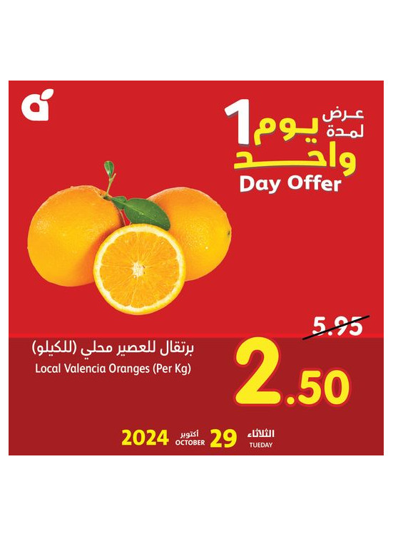 One Day Offer
