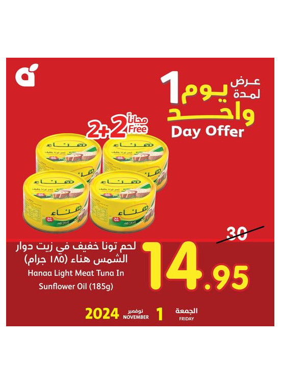 عرض اليوم الواحد