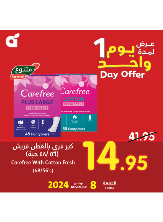 عرض اليوم الواحد