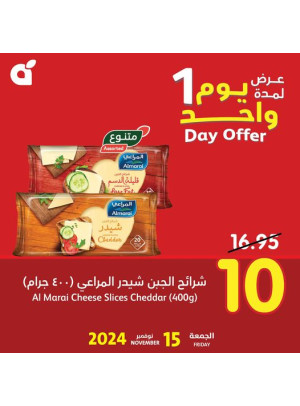 عرض اليوم الواحد