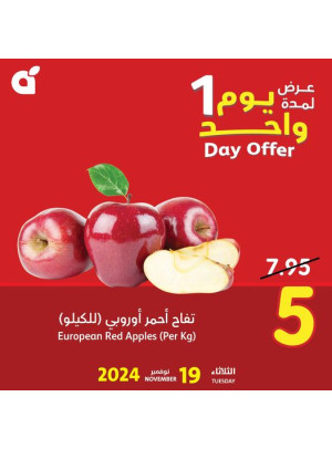 عرض اليوم الواحد
