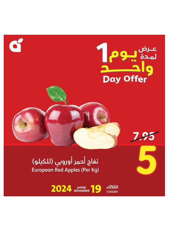 عرض اليوم الواحد