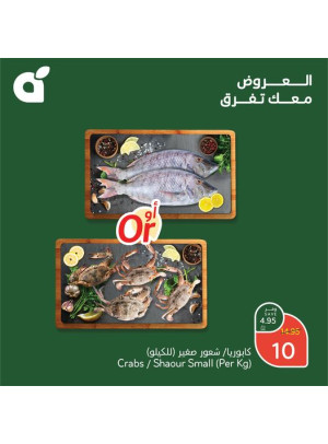 عروض الذكرى السنوية السادسة والأربعون، العدد السابع