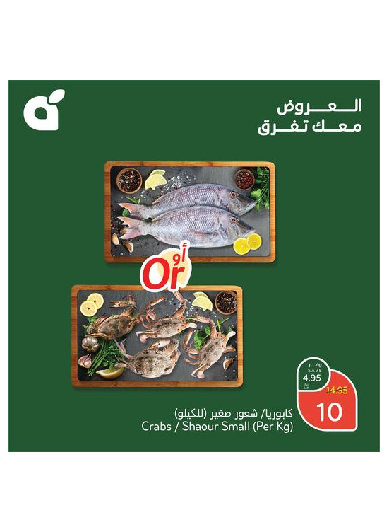 عروض الذكرى السنوية السادسة والأربعون، العدد السابع