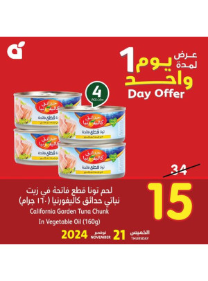 عرض اليوم الواحد