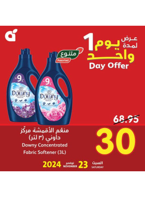 عرض اليوم الواحد