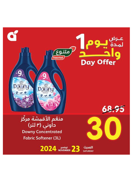 One Day Offer