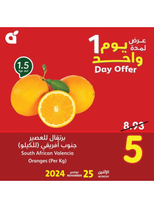 عرض اليوم الواحد