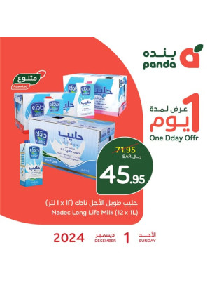One Day Offer