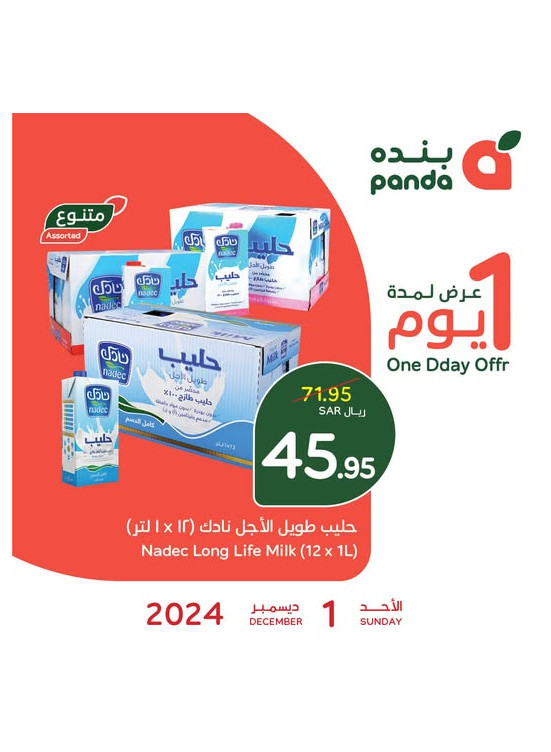 One Day Offer