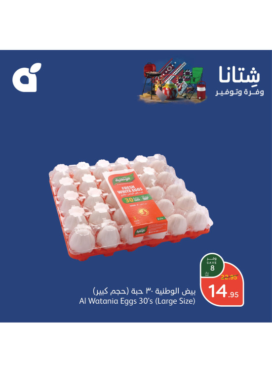 عروض الشتاء الموفرة، العدد الثاني