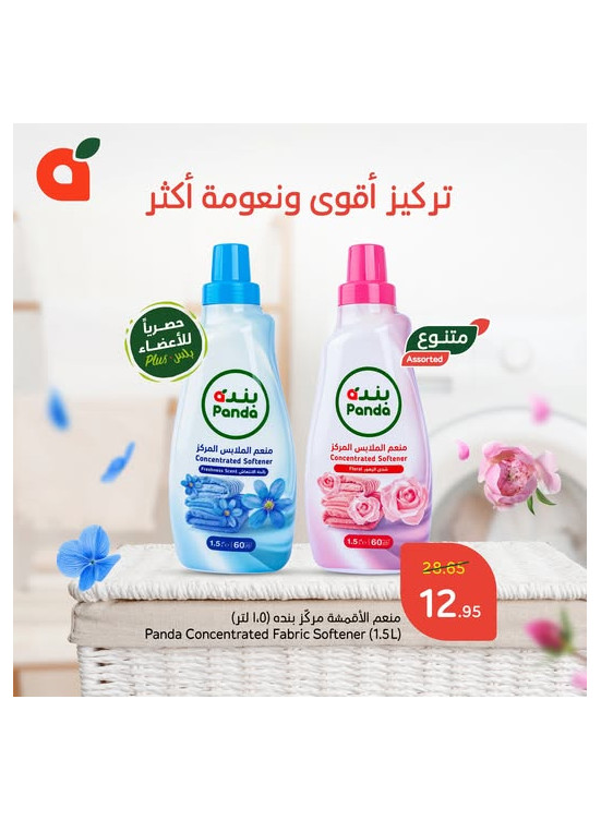 Special Offer