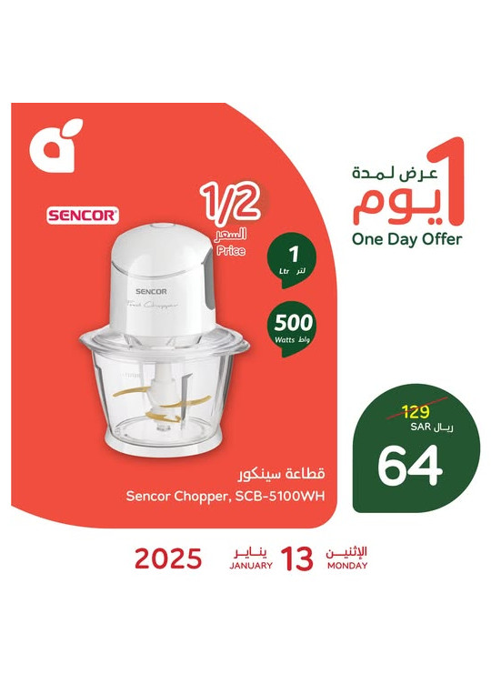 عرض اليوم الواحد