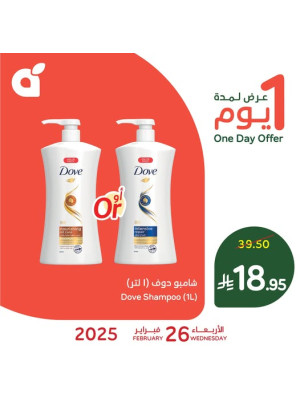 One Day Offer
