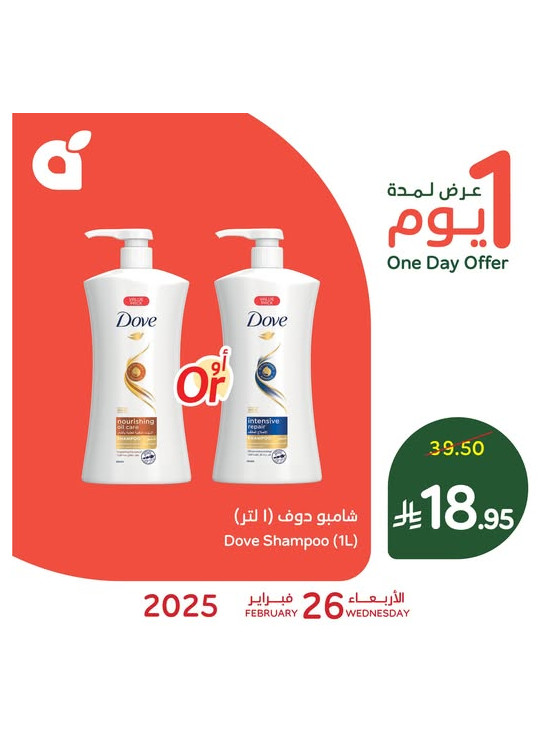 One Day Offer