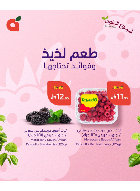 أسبوع التوت