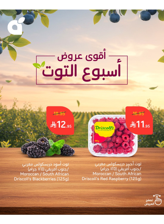 أسبوع التوت