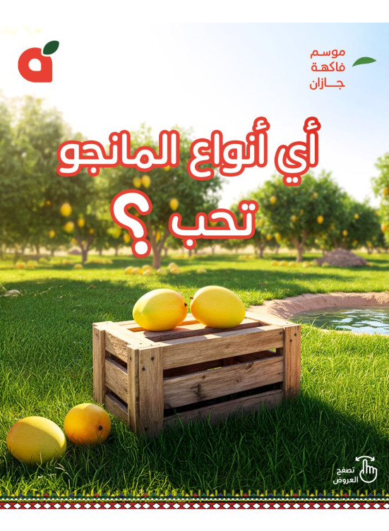 مهرجان المانجو