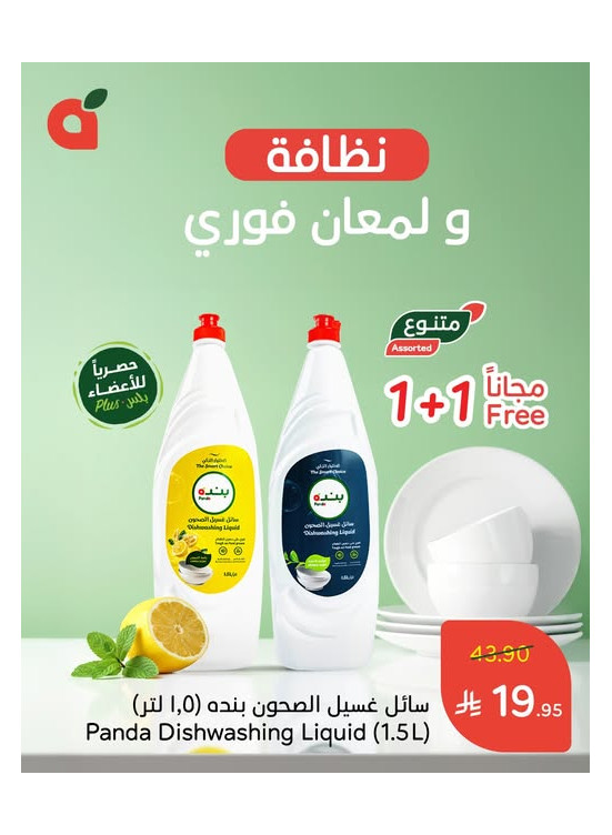 العروض الأسبوعية، العدد الحادي عشر
