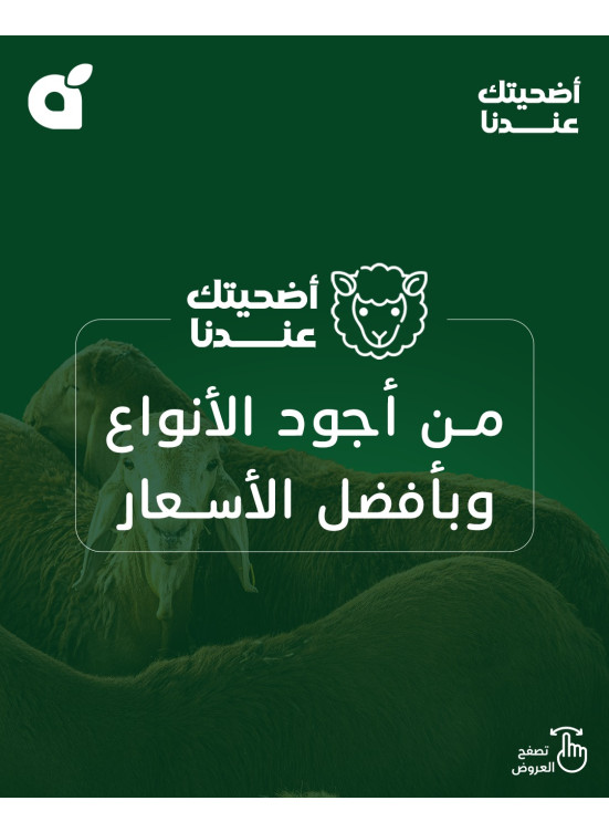 Eid Al Adha Offers