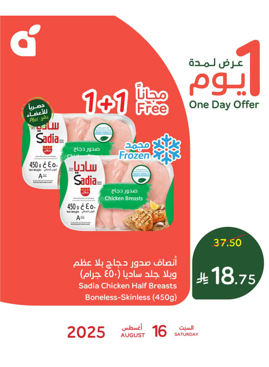 عرض اليوم الواحد