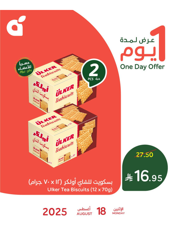 عرض اليوم الواحد