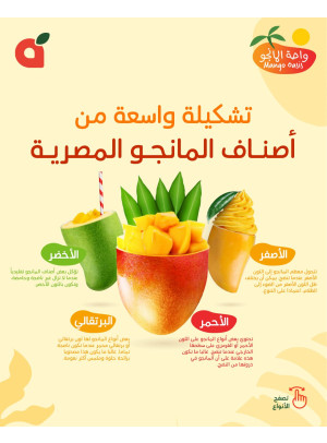 Mango Offers