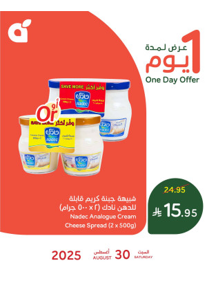 One Day Offer