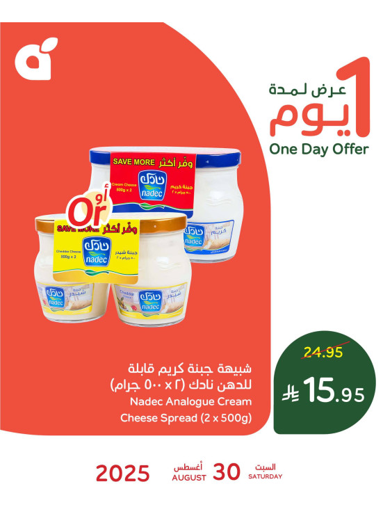 One Day Offer