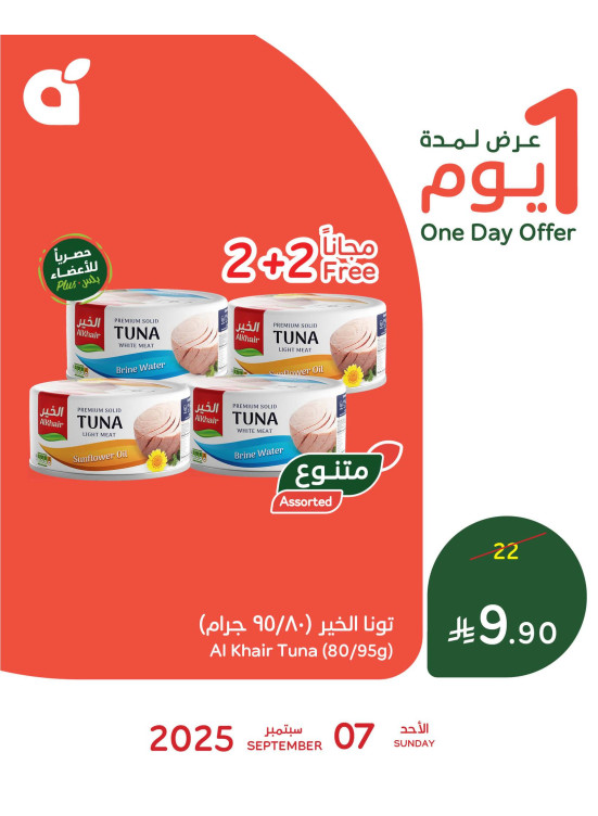 One Day Offer