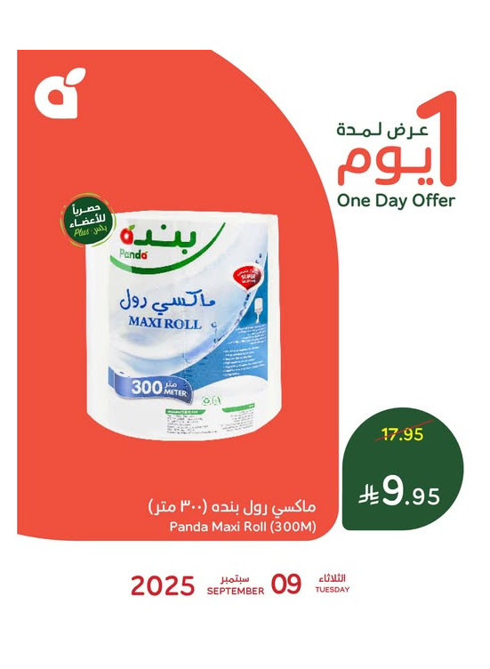 عرض اليوم الواحد، العدد الثاني