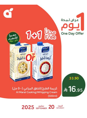 عرض اليوم الواحد