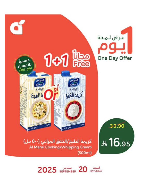 عرض اليوم الواحد