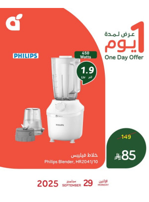 عرض اليوم الواحد