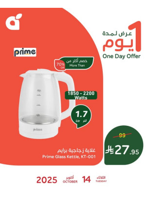 عرض اليوم الواحد