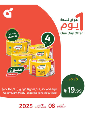 عرض اليوم الواحد