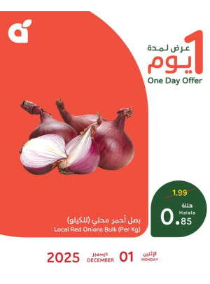 One Day Offer