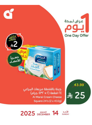 One Day Offer