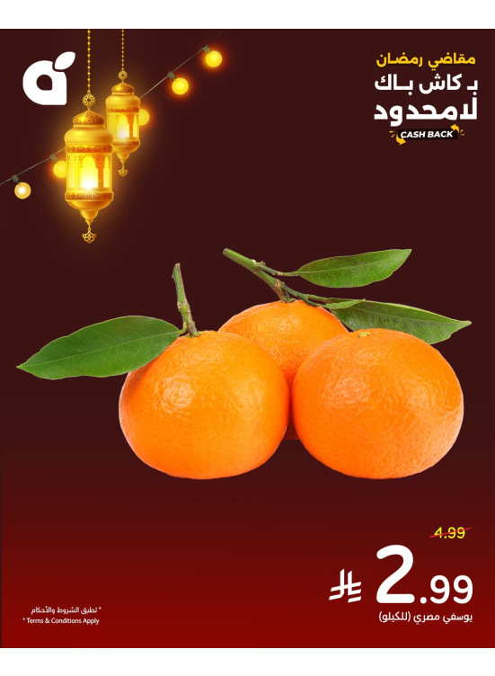 عروض مقاضي رمضان، العدد الثامن