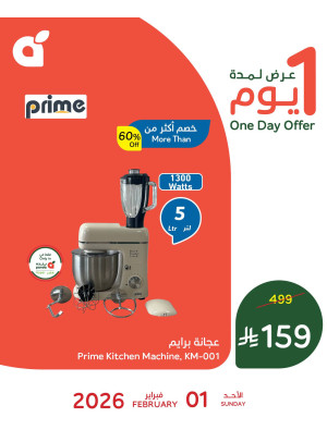 One Day Offer